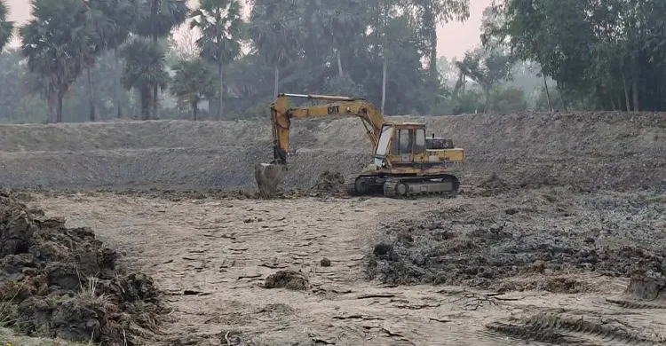 ছবিঃ সংগৃহীত