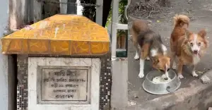 গুলশানে উধাও বাড়ির মালিক, ভেতরে অভুক্ত ১১ বিদেশি কুকুর