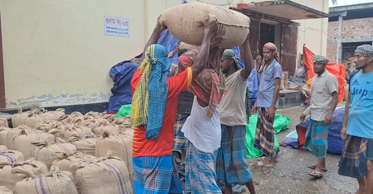 ধানের বাম্পার ফলন, তবু কৃষকের ঘরে কান্না