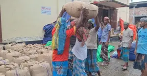 ধানের বাম্পার ফলন, তবু কৃষকের ঘরে কান্না