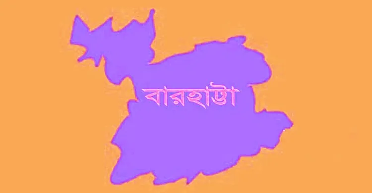 বারহাট্টায় ফেইসবুকে ভিডিও দিয়ে চাঁদাবাজি, অতিষ্ঠ সাধারণ মানুষ