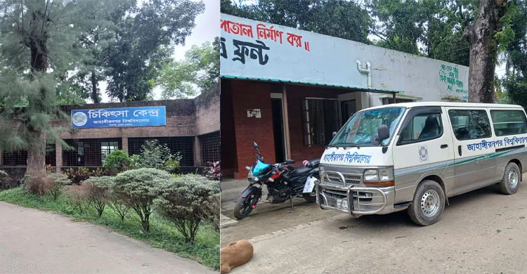ছবিঃ সংগৃহীত