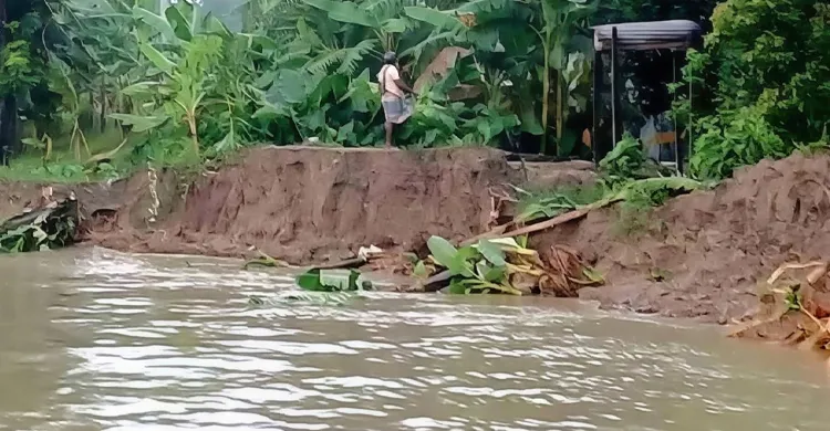 পটুয়াখালীতে পায়রা নদীর তীব্র ভাঙন: বিলীনের পথে ৪ গ্রাম