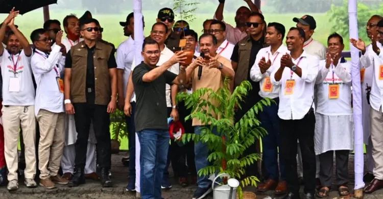 প্রতি শিক্ষার্থীকে বছরে অন্তত একটি গাছ লাগানোর আহ্বান প্রধানমন্ত্রীর