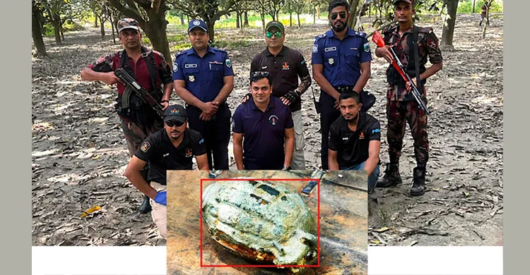 ছবিঃ সংগৃহীত