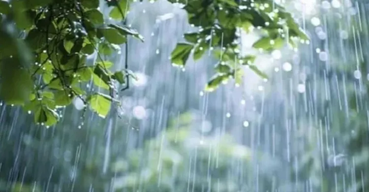 ছবিঃ সংগৃহীত