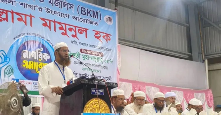 গণভোটের রায় বাস্তবায়ন ছাড়া এ সংসদ চলতে পারে না: মামুনুল হক