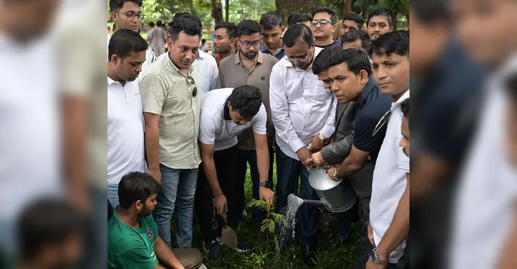 ঢাবি ক্যাম্পাসে ডিএসসিসির ৫০০ গাছের চারা রোপণ, সবুজ নগর গড়ার আহ্বান