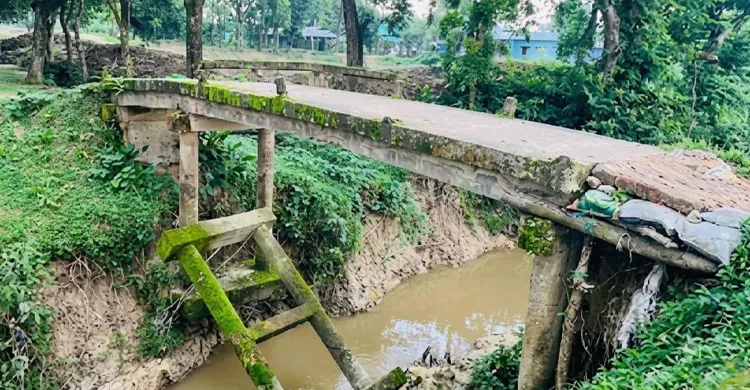 মাধবপুরে ঝুঁকিপূর্ণ সেতু দিয়ে পারাপার, দুর্ঘটনার শঙ্কা