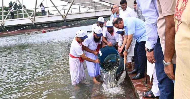 জিয়া উদ্যানের লেকে মৎস্য পোনা অবমুক্ত করলেন তারেক রহমান
