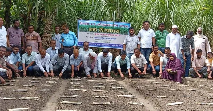ফরিদপুর চিনিকলে ২০২৬-২৭ মৌসুমের আখ রোপণ কার্যক্রম উদ্বোধন