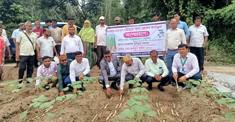 প্রধানমন্ত্রীর নির্দেশনায় ঠাকুরগাঁওয়ে আখের মাঠে সবুজের স্বপ্ন