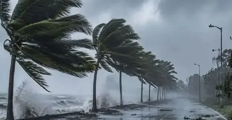দুপুরের মধ্যে ঢাকায় হালকা বজ্রবৃষ্টির পূর্বাভাস