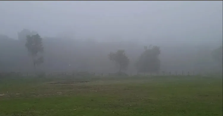 আশ্বিনের শুরুতেই ঘন কুয়াশায় ঢাকা নীলফামারীর ডোমার