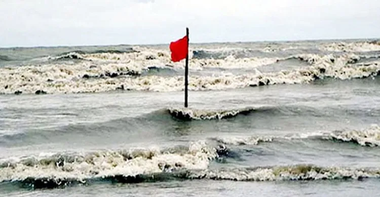 ছবিঃ সংগৃহীত
