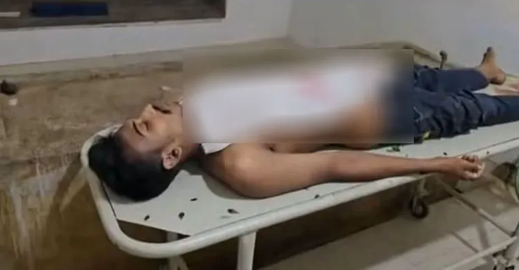 ছবিঃ সংগৃহীত