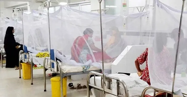 ডেঙ্গুতে আরও ৬ জনের মৃত্যু, হাসপাতালে ভর্তি ১,৬০৮