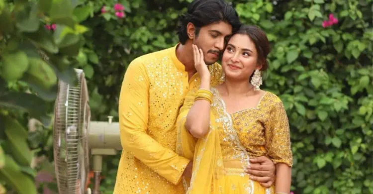 ছবিঃ সংগৃহীত
