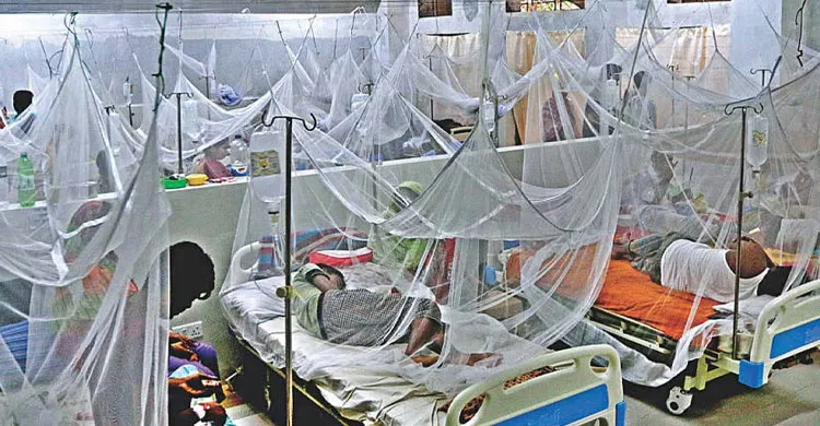 ছবিঃ সংগৃহীত