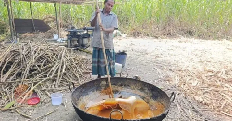 বগুড়া থেকে হারিয়ে যাচ্ছে আখের গুড়