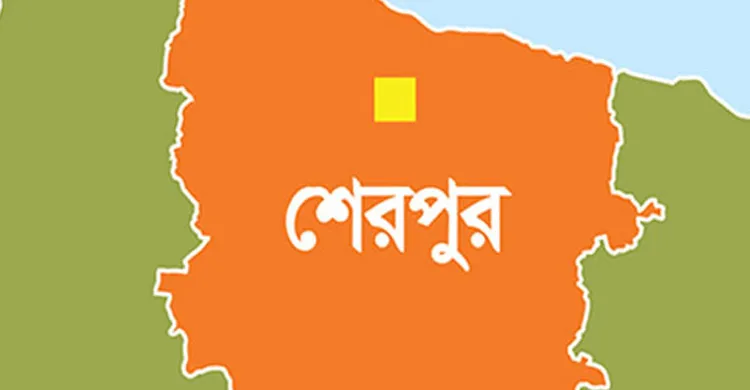 ছবিঃ সংগৃহীত