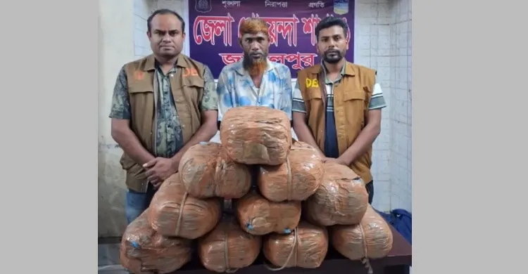 জামালপুরে ২০ কেজি গাঁজাসহ মাদক কারবারী গ্রেপ্তার