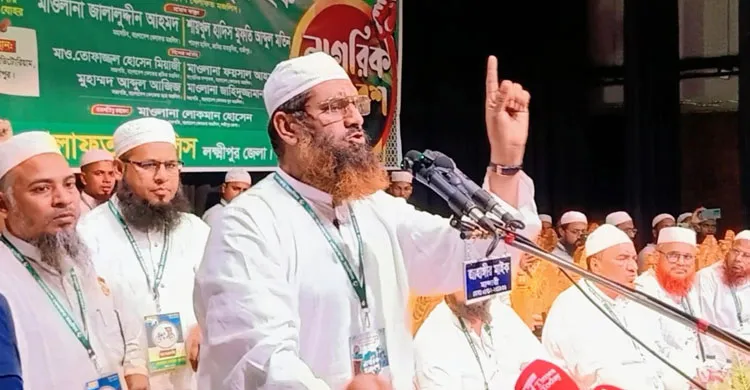 বিএনপিকে ভূতে ধরেছে, রাষ্ট্রপতিকে পুতুল বানিয়ে রেখেছে: লক্ষ্মীপুরে মামুনুল হক