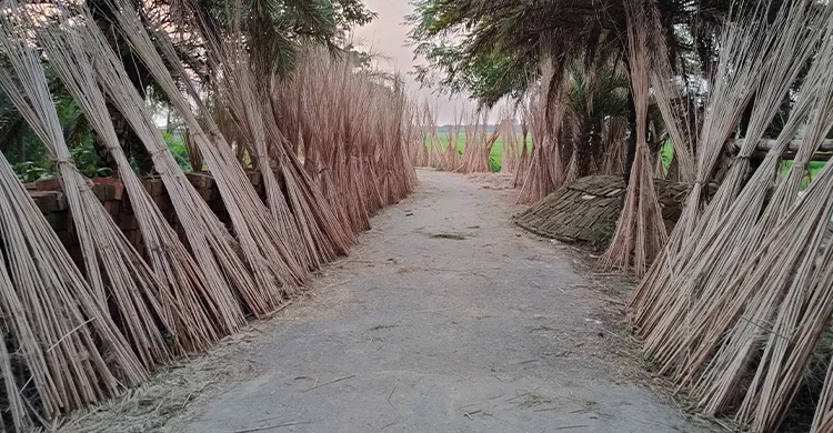 ছবিঃ সংগৃহীত