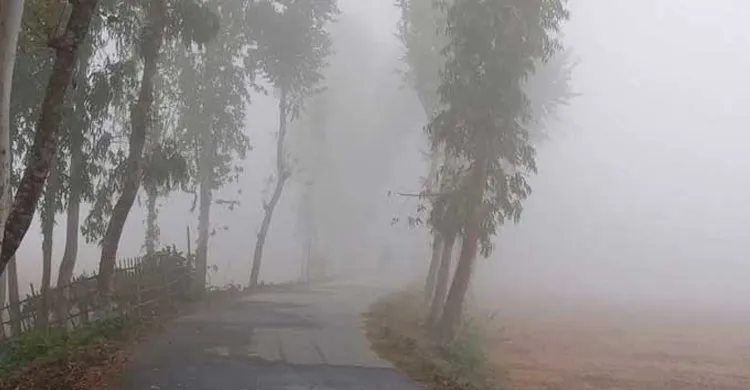 ছবিঃ সংগৃহীত