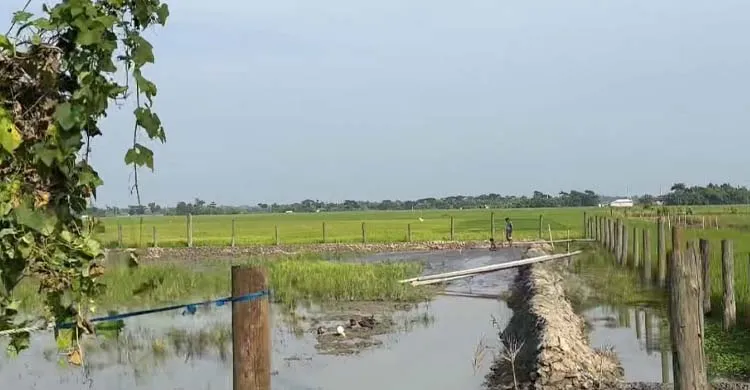 কয়রায় বিদ্যুৎ উপকেন্দ্র ভরাটে অবৈধ বালু উত্তোলনের অভিযোগ, ঝুঁকিতে কৃষিজমি