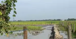 কয়রায় বিদ্যুৎ উপকেন্দ্র ভরাটে অবৈধ বালু উত্তোলনের অভিযোগ, ঝুঁকিতে কৃষিজমি