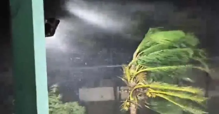 ছবিঃ সংগৃহীত