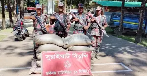 জকিগঞ্জ ও কানাইঘাট সীমান্তে ৩৪ লাখ টাকার ভারতীয় পণ্য জব্দ