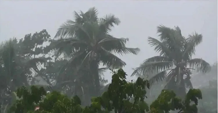ছবিঃ সংগৃহীত