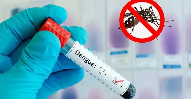 ডেঙ্গুতে ৩ জনের মৃত্যু